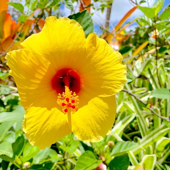 Meet your Posher, Miri @KeeneJoy - Picture 4 of 8